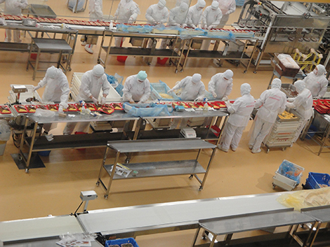 食品加工ライン.jpg